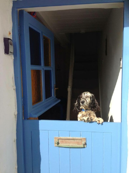 Rosie at Jowders' door